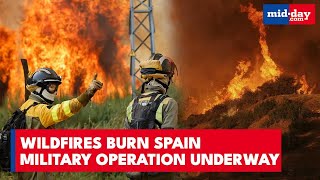 Europe’s Worst Blaze in 20 Years; Fires Shut Down Spain & Portugal | Wildfires 2025