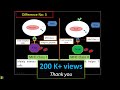MHC Complexes and Immune Response