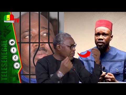 Arrestation de Farba Ngom? Adama Fall confirme...et pointe un gros danger sur SONKO