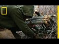 Thorne's Trapping Techniques and Challenges