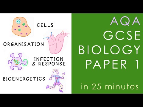 All of AQA BIOLOGY Paper 1 in 25 minutes - GCSE Science Revision