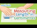 Measuring Lengths of Common Objects