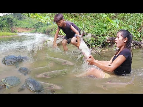Survival in the rainforest, Catch & cook fish, Fish salt grilled tasty for lunch, Top survival video