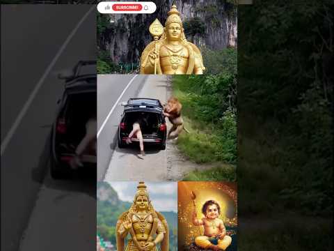 ๐จ๐ฆ Lion Charges โ Lucky Escape Caught on Camera