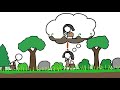 Sustentabilidade na Agricultura e Ecossistemas