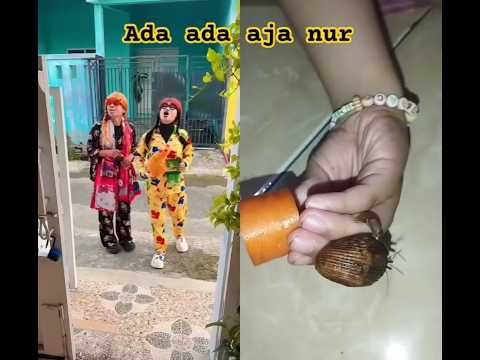 ADA ADA AJA NUR SAMA CERY PEGANG BONEKA AYAM #nurrayni25 #nurrayni25real #trending