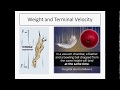 Forces and Motion Concepts