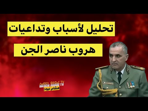 تحليل لأسباب وتداعيات هروب ناصر الجن