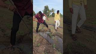 कुच्छ ही पल में ले सकता है इन्सान कि जान 😱🐍 #shorts #cobra #Indian #animal #wildlife #reels