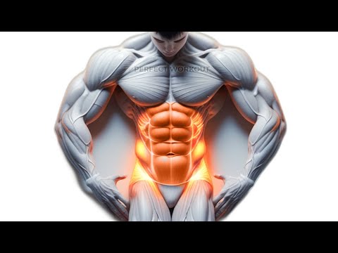 Six-Pack Shortcut! Best Exercise to Shred Belly Fat!