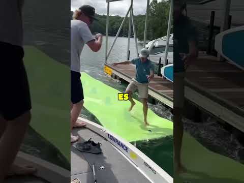 ¡Este Chico Convirtió un Simple Cruce en una Aventura ABSURDA!