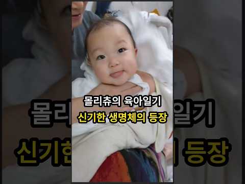 육아일기 신기한 생명체의 등장!