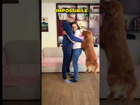 POV: HAI UN GOLDEN RETRIEVER e provi ad abbracciare qualcuno