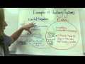 Unitary Systems of Government Comparison