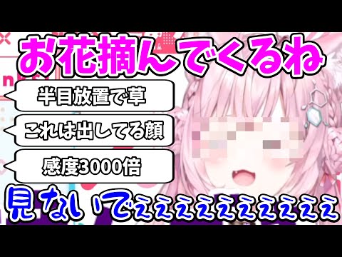 お花摘みの際半目で放置してしまいあられもない表情で止まってしまう博衣こより【ホロライブ/切り抜き/博衣こより】