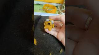 Needle felting Jake the dog! #adventuretime #diy #2000s