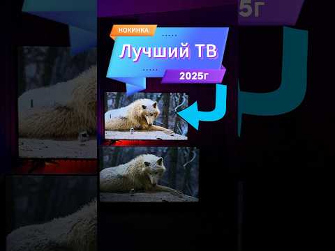 ЛУЧШИЙ ТВ 2025!?