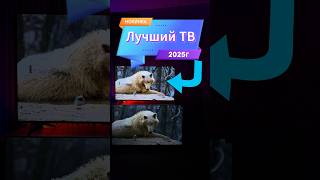 ЛУЧШИЙ ТВ 2025!?