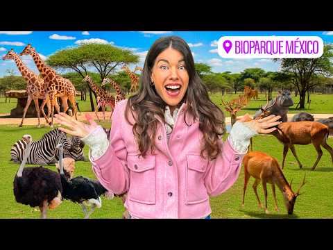 México Tiene ESTE Safari y Nadie nos Avisó 😱🦒