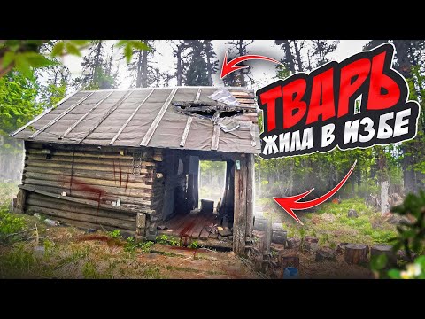 НЕЧТО РАЗРУШАЕТ ДОМ В ЛЕСУ, ЧТО ДЕЛАТЬ, ПРОМЫСЕЛ КОЛБЫ, ВЫЖИВАНИЕ