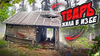 НЕЧТО РАЗРУШАЕТ ДОМ В ЛЕСУ, ЧТО ДЕЛАТЬ, ПРОМЫСЕЛ КОЛБЫ, ВЫЖИВАНИЕ