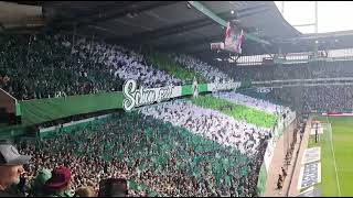 SV Werder Bremen - VfL Bochum (Choreo vor dem Spiel) - 19.04.2025