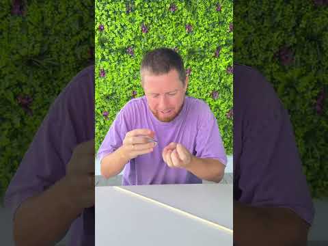 He Made His Own Back Scatcher 😳🐜🤣