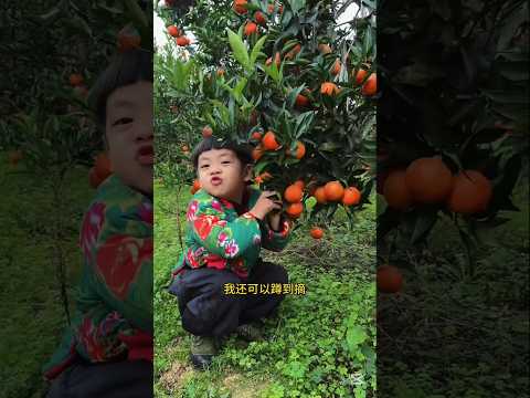 A Sweet Lesson in Honesty | Fun Story from the Orange Garden#shorts #EducationalStory