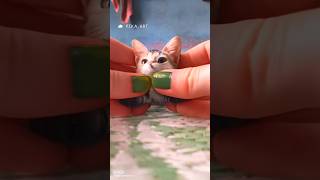 Pika art - Free Ai Video Editing Website #pikaart #ai #aiwebsite #aitools #aiart