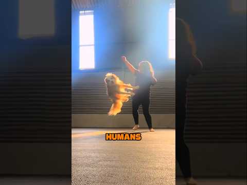 The Best Dog Dancer