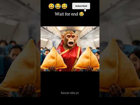 monkey vlog 😱garam Samosa 😂#shorts #monkeyvlog #funny #monkey