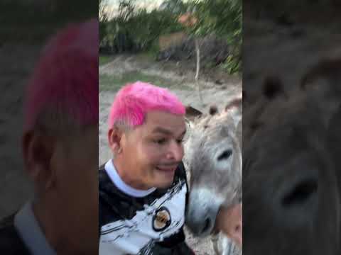 ELE NÃO GOSTA DE TIRAR FOTO! @jefersonferreiraadila