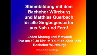 Stimmbildung am 29. Juni 2020 13