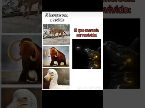 Deberían 😭 #shorts #animals #nature