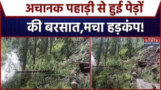 Uttarakhand News: मोरी खरसाडी के पास अचानक पहाड़ी से हुई पेड़ों की बरसात| uttarkashi |yamunaghati