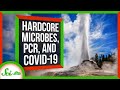 Understanding PCR and Its Evolution