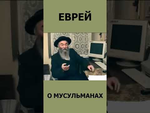 Еврей о мусульманах