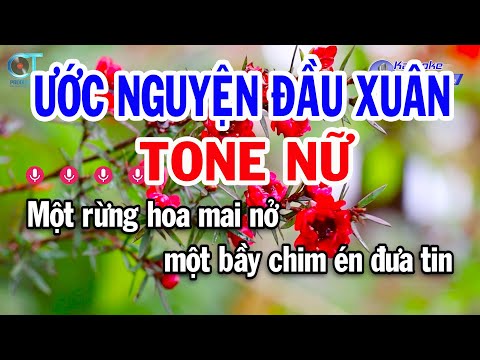 Karaoke Ước Nguyện Đầu Xuân Tone Nữ ( F#m ) Nhạc Xuân Mới 2025