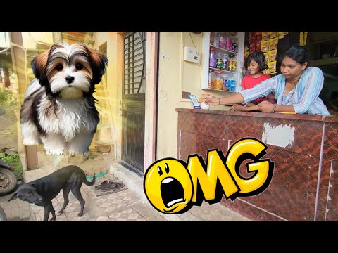  कुत्र्याला माऊने बिस्किट खाऊ घातले 👌❤️