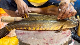 Amazing Sola Fish Skin Removing In Fish Market | Fish Cutting Skills