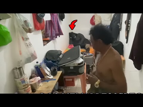 MELHORES MOMENTOS DOS MELHORES VIDEOS DO TIRINGA 🤣 | NEGÃO TIRINGA ®