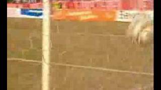 Matthias Scherz - 8 Jahre 1.FC Köln