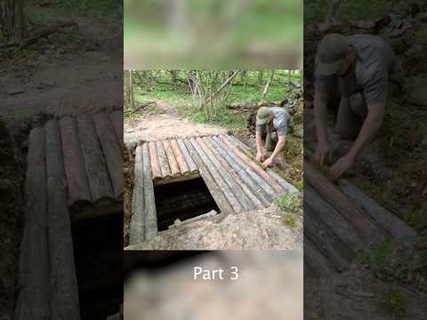 Building a Underground log cabin Full build Part 3 #bushcraft #survival #outdoors