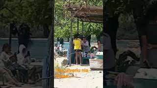Tiu Silveriu Nia Tinan halimar ho anin