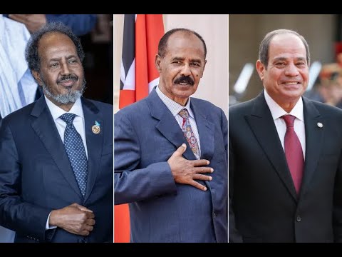 Somalia, Eritrea, and Egypt Unite for Security!