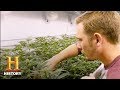 Veterans' Reintegration and Horticultural Therapy