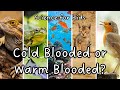 Warm-Blooded vs Cold-Blooded Animals