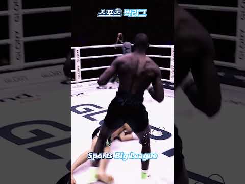 (Combat sports) 격투기 넉다운 시리즈