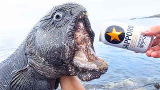 ゴジラみたいな、破壊力がバケモンすぎる生物を捕獲！