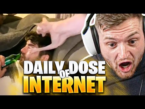 😡🤯Die HORROR KATZE bei DAILY DOSE of INTERNET! | Trymacs Stream Highlights